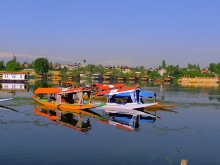 kashmir boats