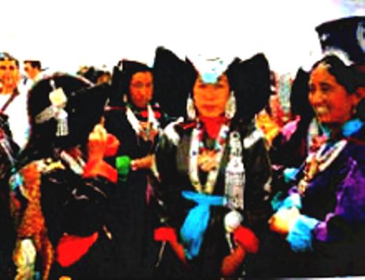 Ladakhi Ladies 