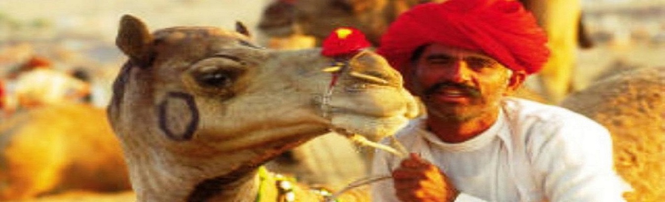 camel ride in rajastan
